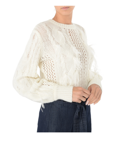 Twinset - Alpaca Wool Jumper With Feathers